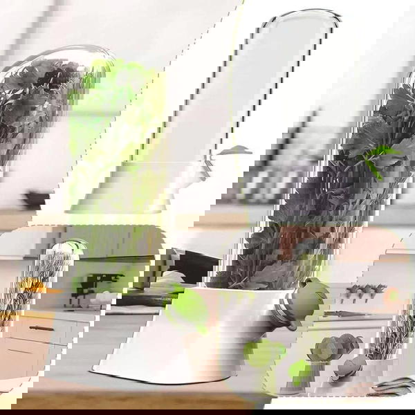 كبسوله حفظ الاعشاب السحرية Image 2 Preview