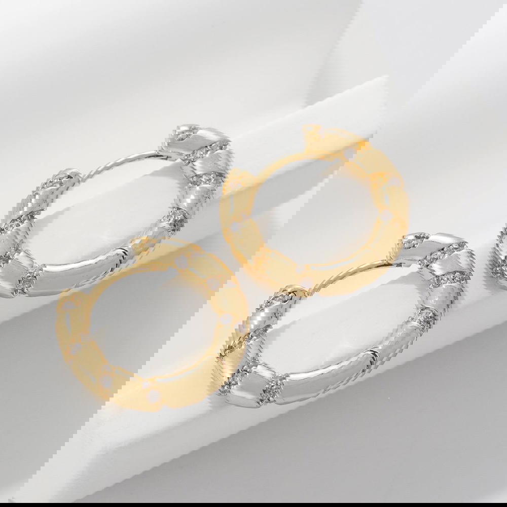 Earring Stainless Steel  Preview Image