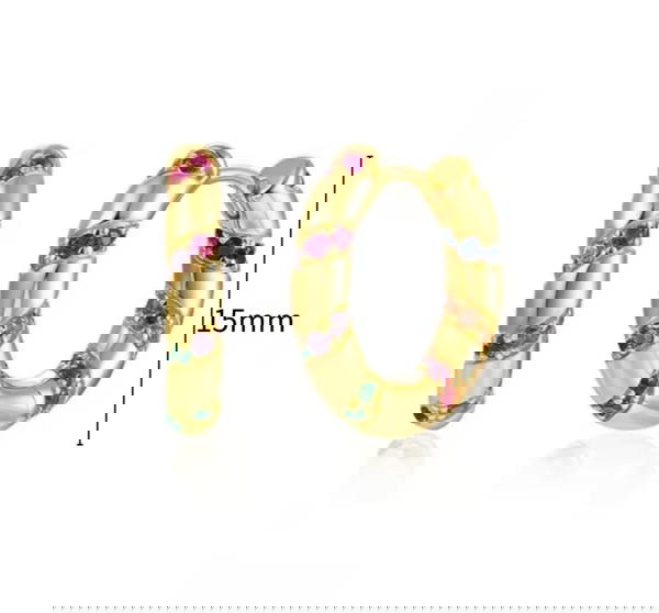 Earring Stainless Steel  Image 2 Preview