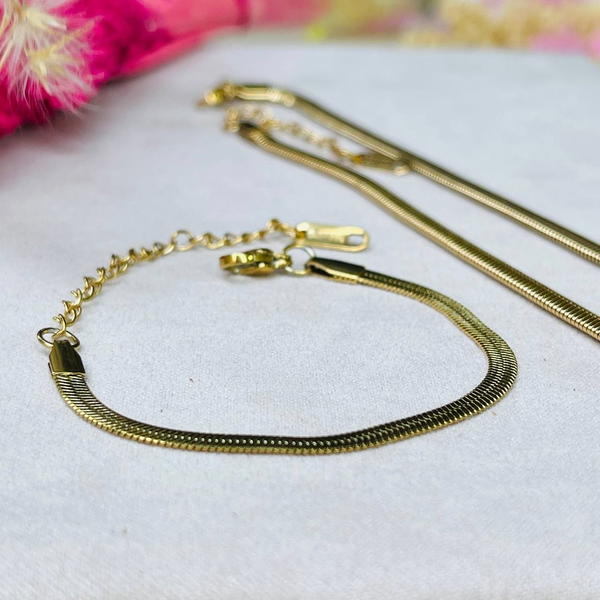 Set Jewelry Stainless Steel Snak Back  Image 1 Preview