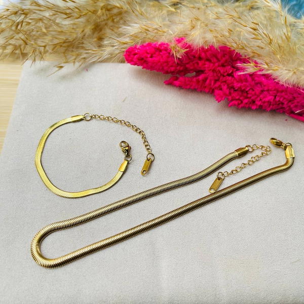 Set Jewelry Stainless Steel Snak Back  Image 3 Preview