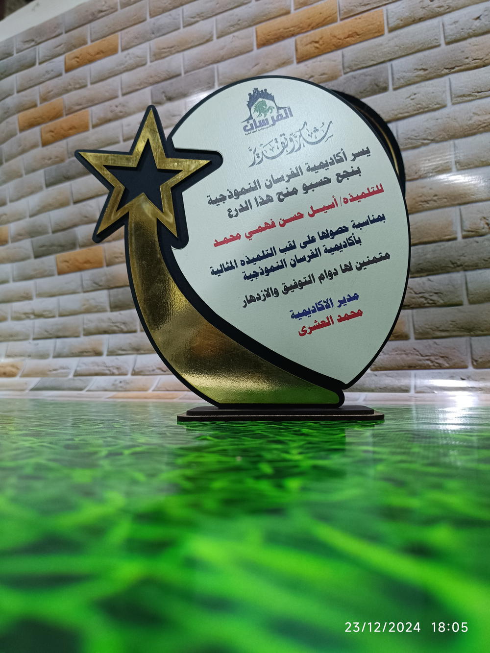 دروع خشبيه Preview Image