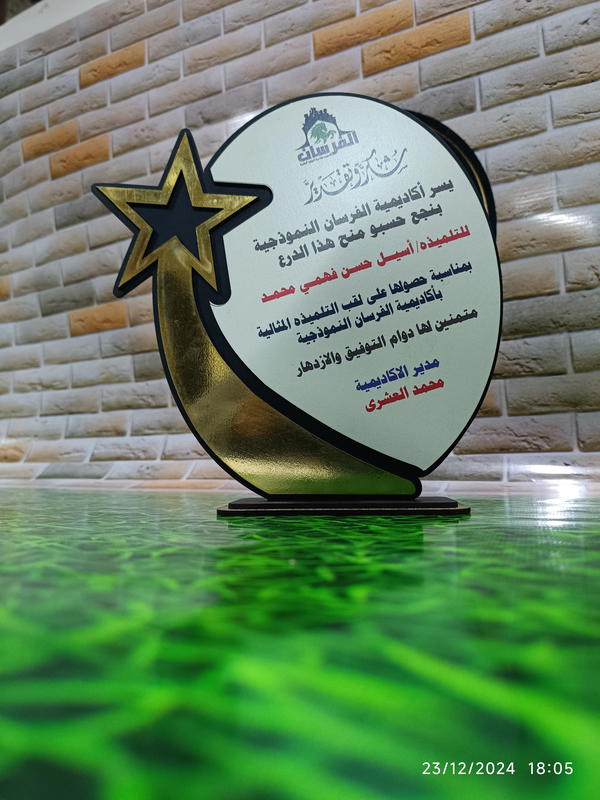 دروع خشبيه Image 1 Preview