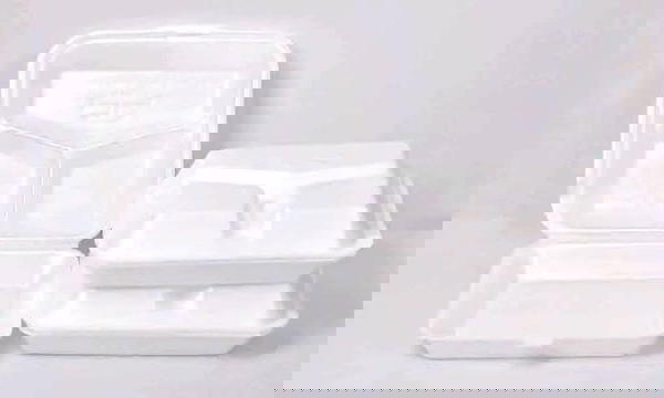 10 اطباق فوم وجبات مقسم  Image 4 Preview