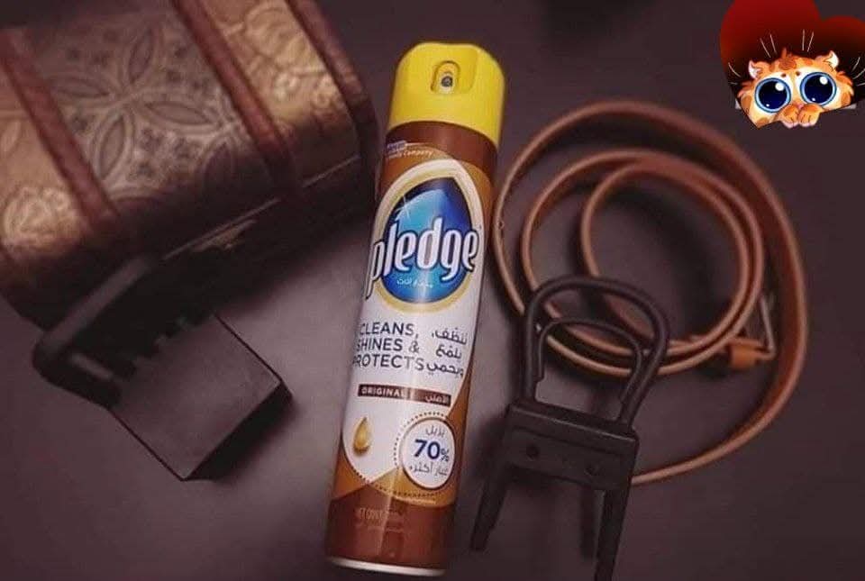 بليدج ملمع الخشب و الاثات الأصلي بخاخ 300 مل  Preview Image