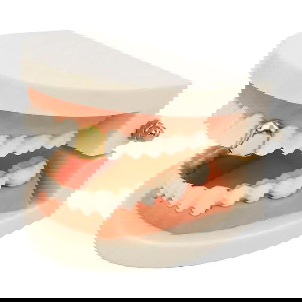 Teeth Grillz - إكسسوار أسنان Image 4 Preview