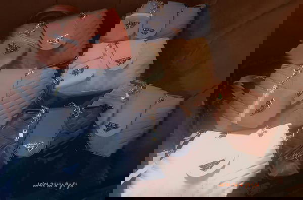 New collection Image 1 Preview