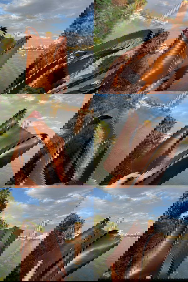 New collection Image 2 Preview
