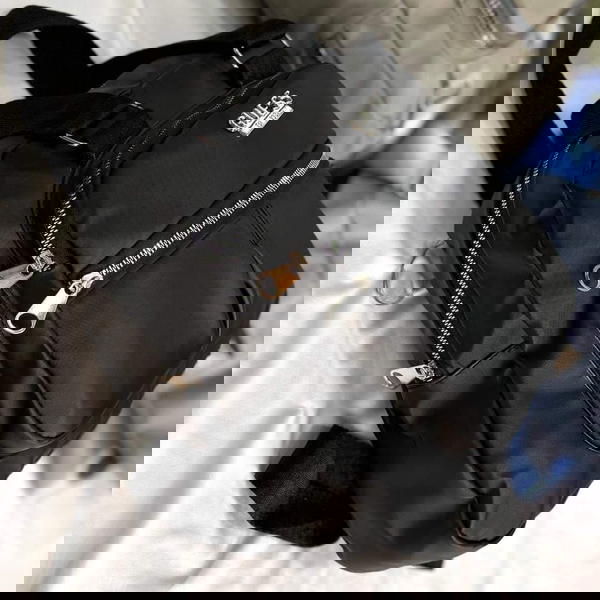 New collection Image 3 Preview