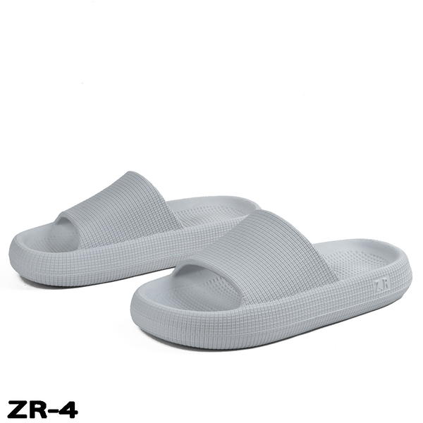ZR Image 5 Preview