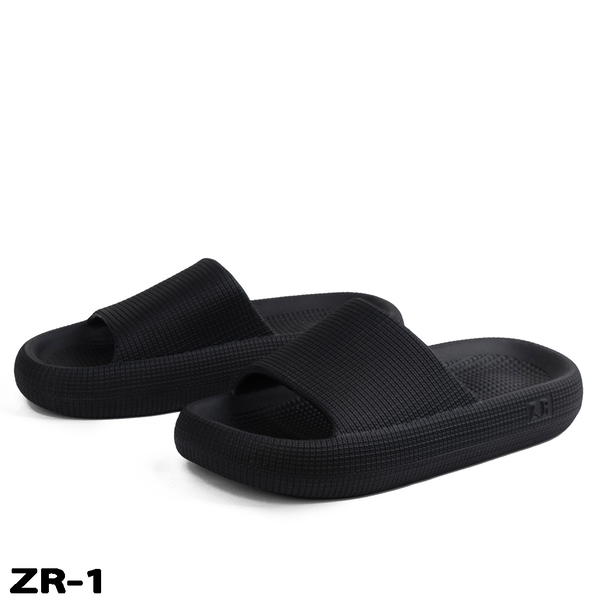 ZR Image 8 Preview