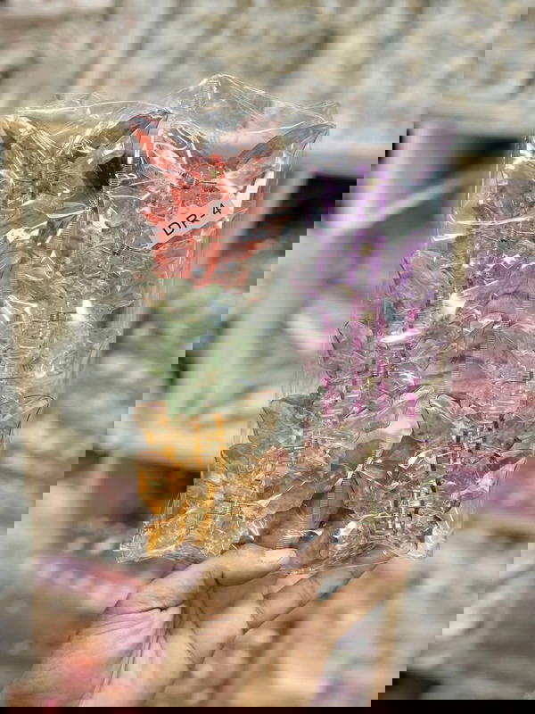 قفاش فراشة كريستال Image 1 Preview