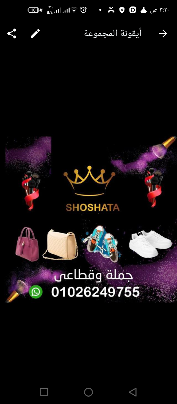shoshata store Logo