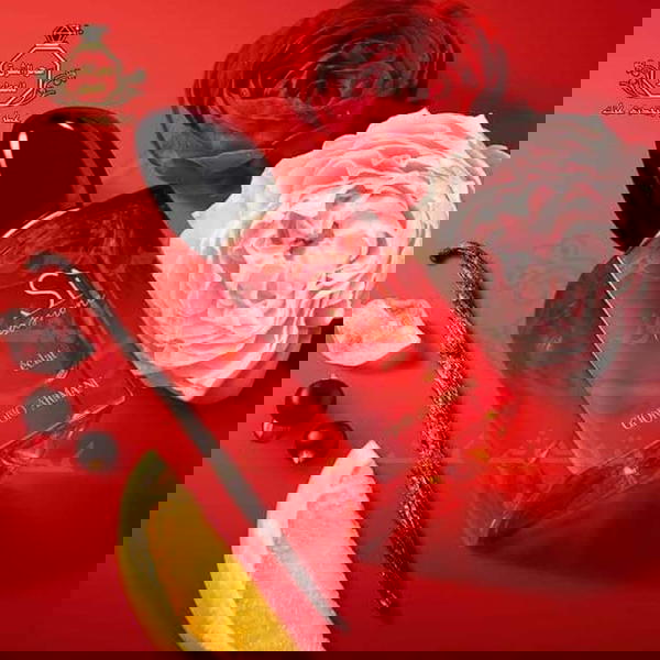 سي باشن Image 1 Preview