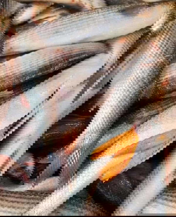بوري بطارخ Image 1 Preview