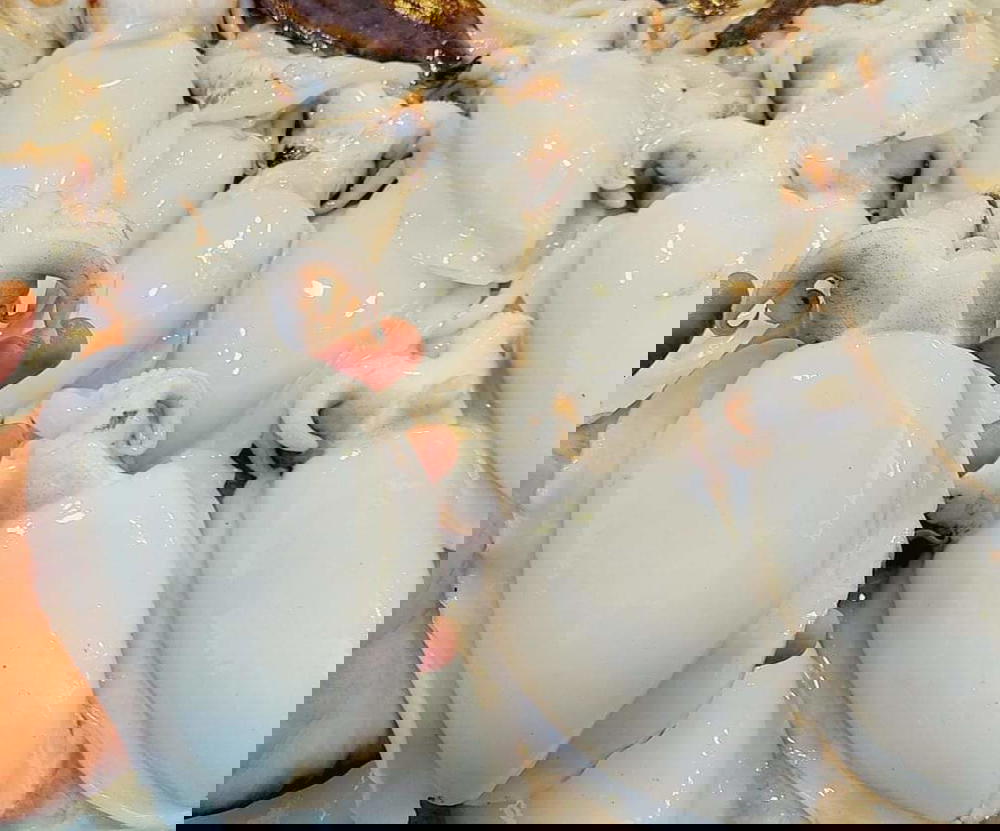 سبيط Preview Image
