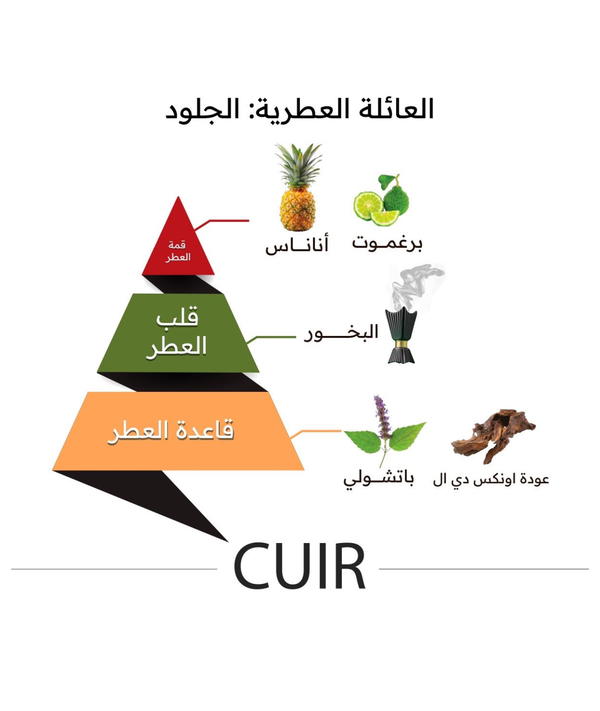 CUIR GIFT SET BY ALMAJED OUD  Image 4 Preview