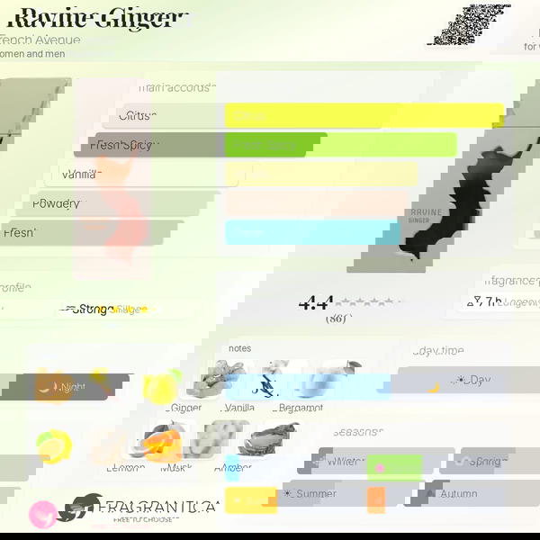 RAVINE GINGER BY FRENCH AVENUE  Image 4 Preview