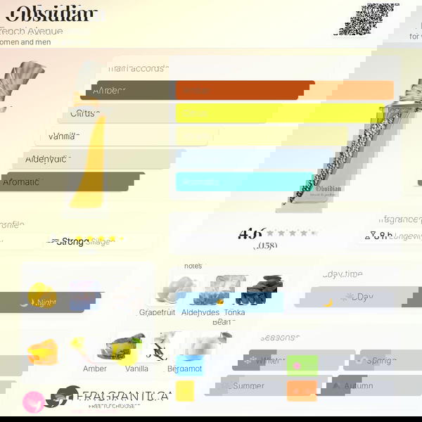 OBSIDIAN BY FRENCH AVENUE  Image 4 Preview