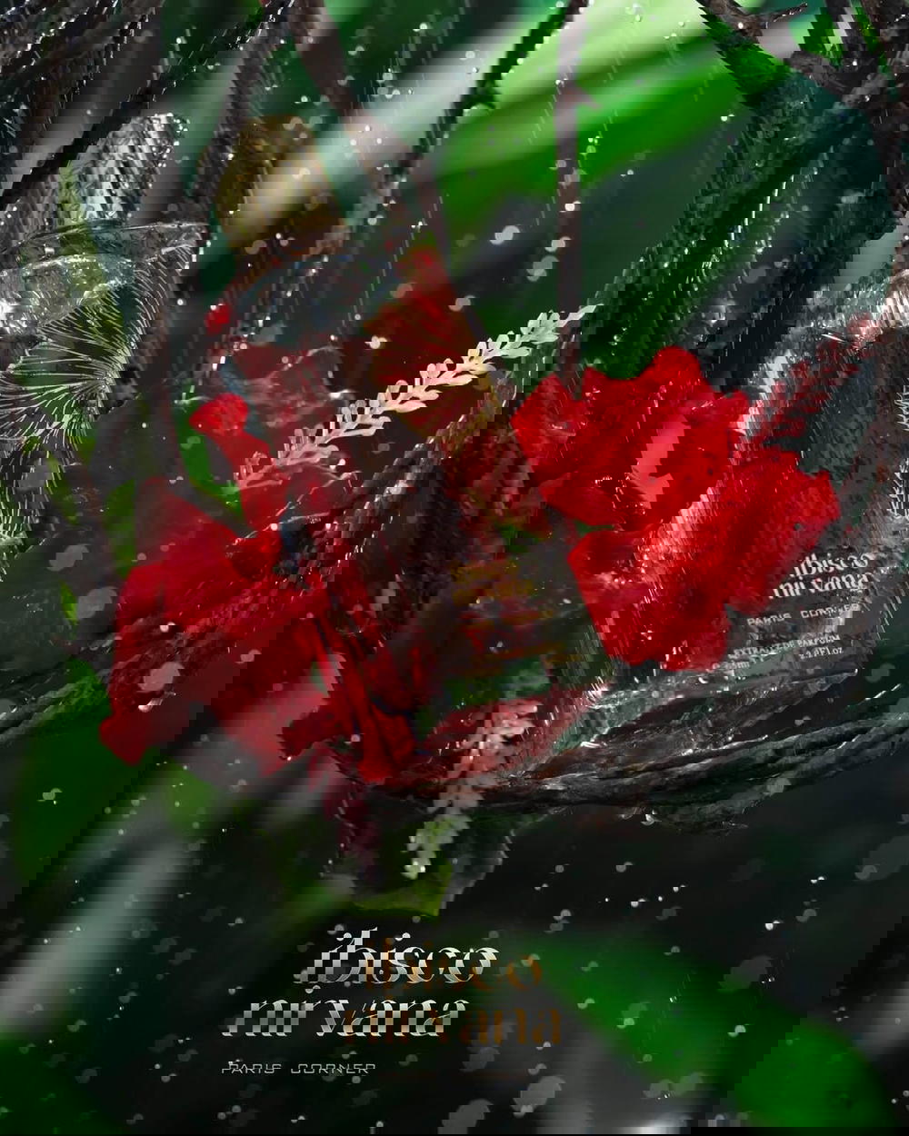 Ibisco Nirvana PARIS CORNER Preview Image