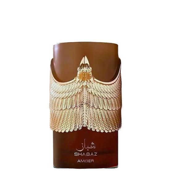 Shabaz Amber Athoor Al Alam Image 2 Preview