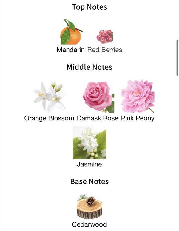 The One By Laverne Image 2 Preview