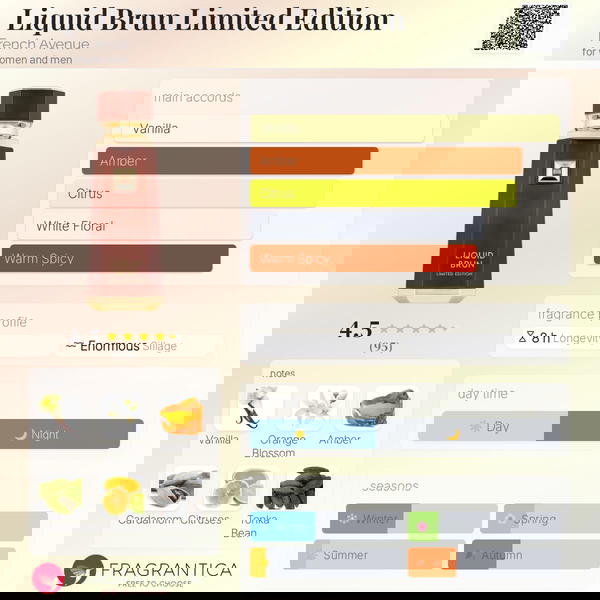 Liquid Brun Limited Edition 150ML By French Avenue  Image 3 Preview