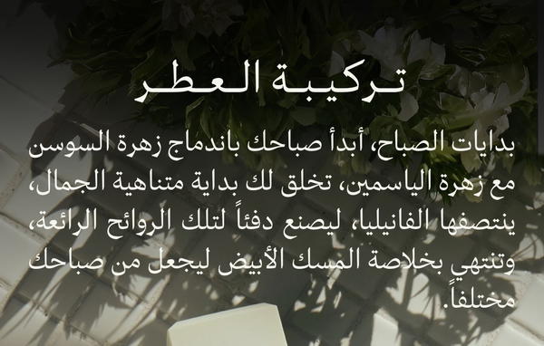 Noble 100ML By Assaf  Image 2 Preview