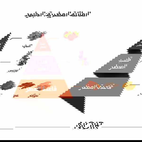 Noir Oil 15ML By AlMajed Oud  Image 4 Preview