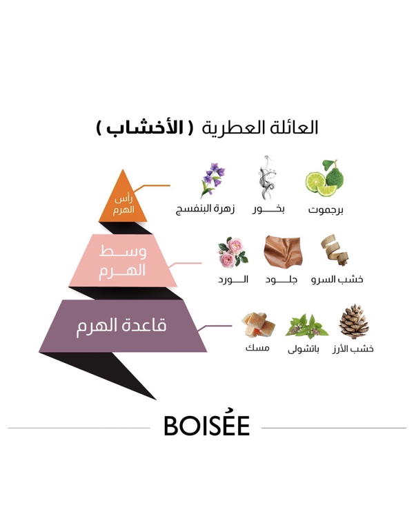 Boisee Set By Almajed Oud  Image 3 Preview