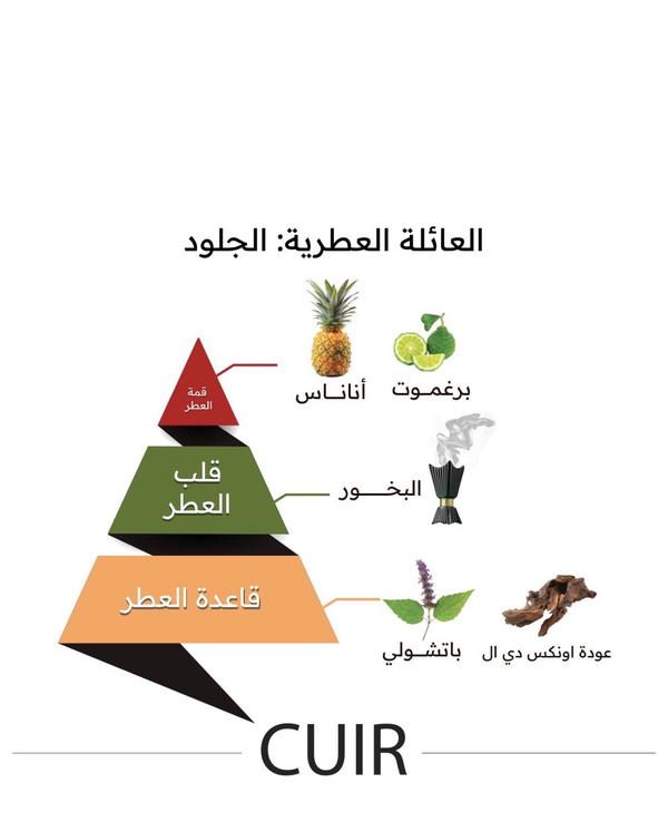 Cuir 150ML By Almajed oud Image 4 Preview