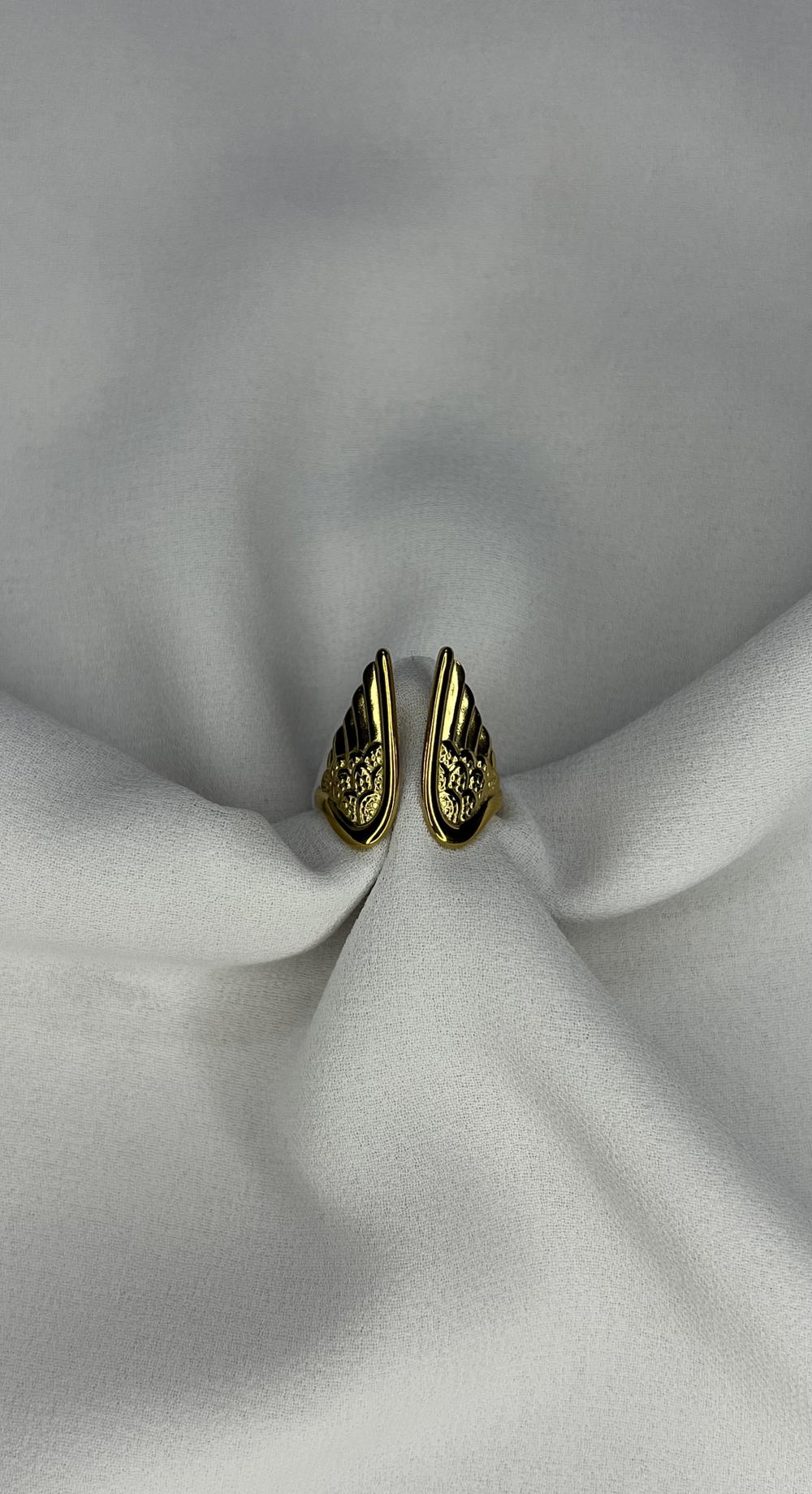 angle wings ring  Preview Image