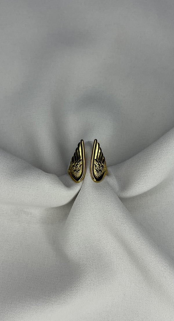 angle wings ring  Image 1 Preview