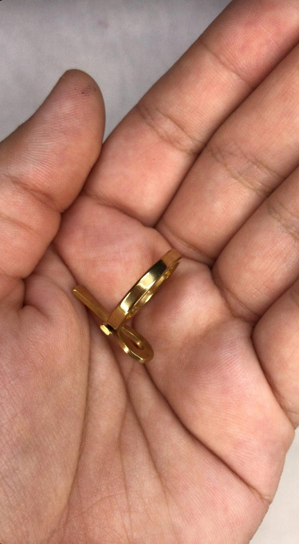ankh ring  Image 3 Preview
