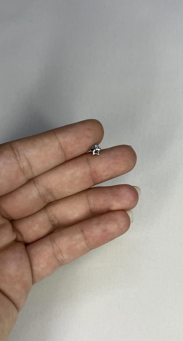 fake star magnetic piercing  Image 6 Preview