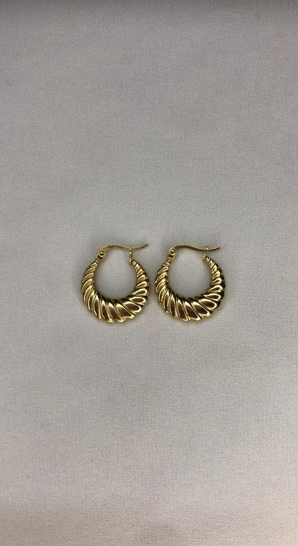 gold earnings  Image 1 Preview