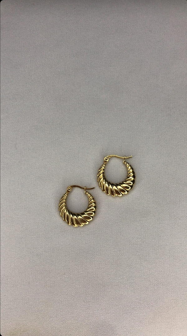gold earnings  Image 2 Preview