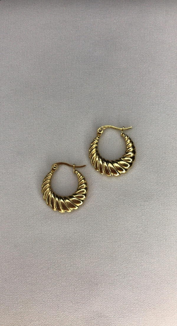 gold earnings  Image 3 Preview