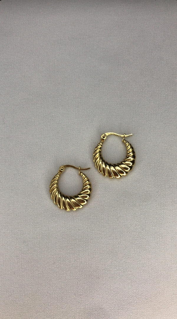 gold earnings  Image 4 Preview