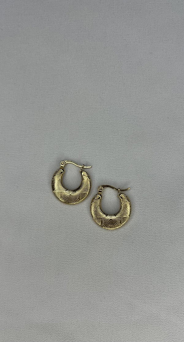 golden earrings  Image 3 Preview