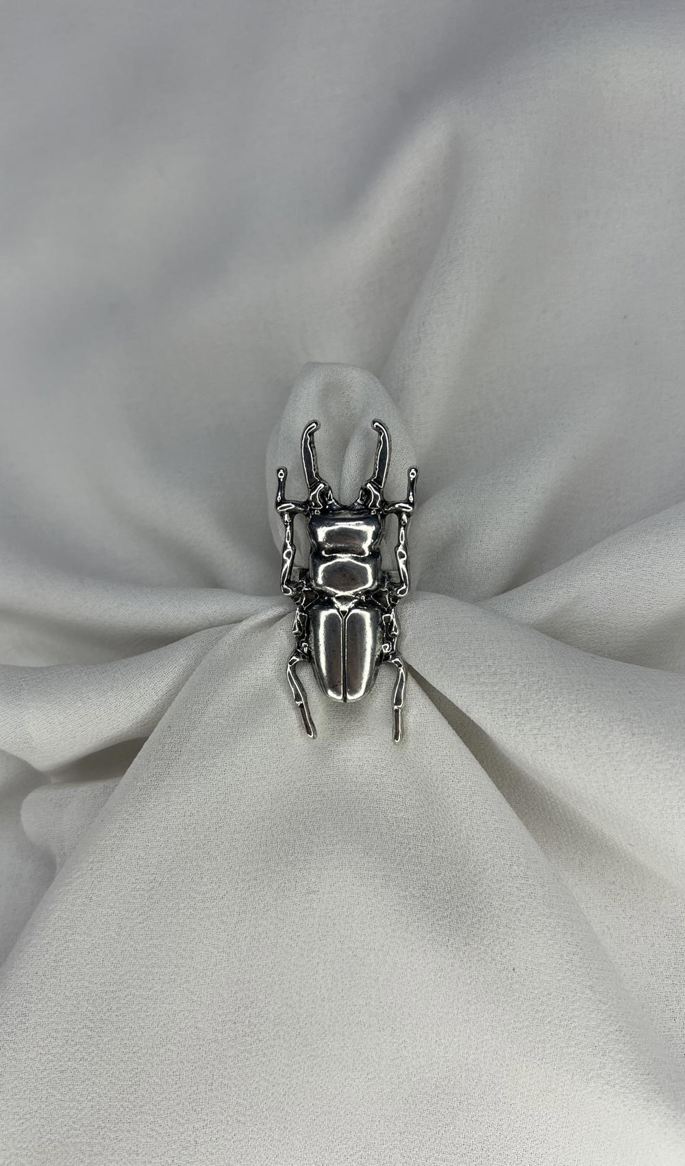 insect ring  Preview Image