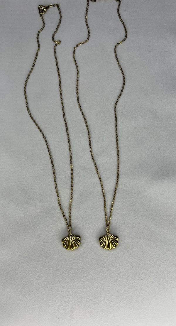 sea shell necklace  Image 2 Preview