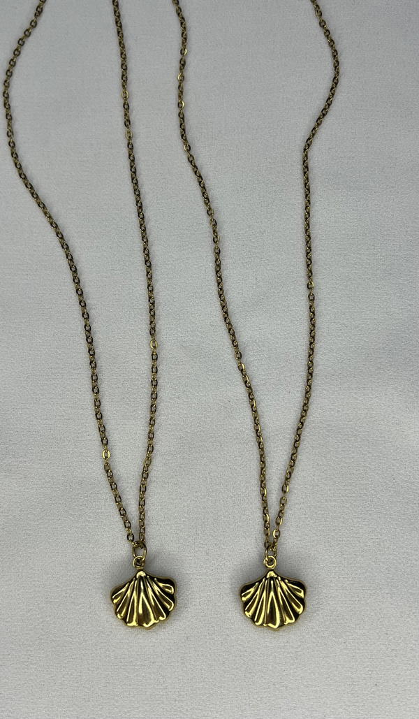 sea shell necklace  Image 3 Preview
