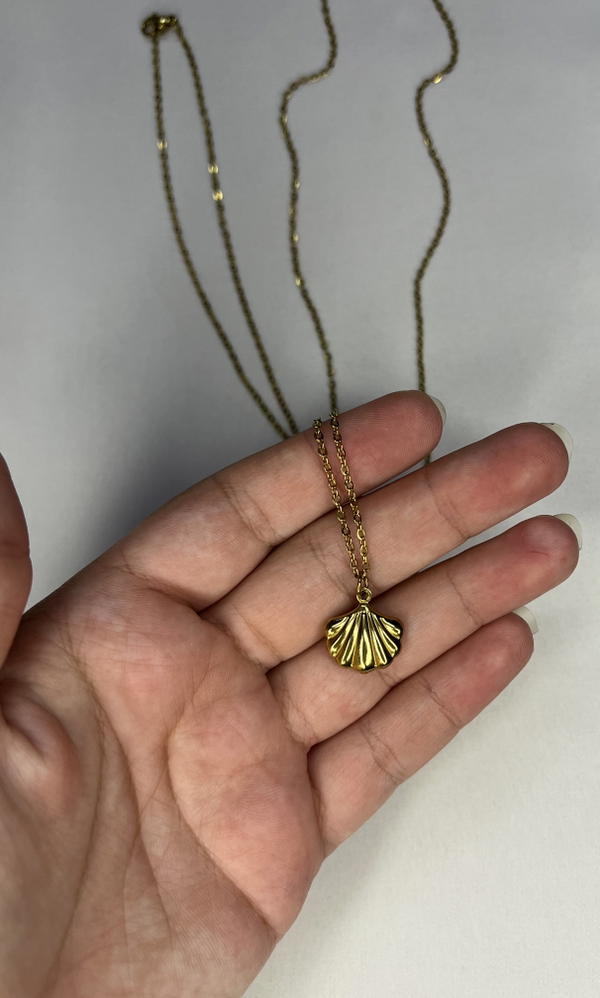 sea shell necklace  Image 4 Preview
