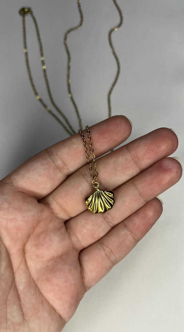 sea shell necklace  Image 5 Preview