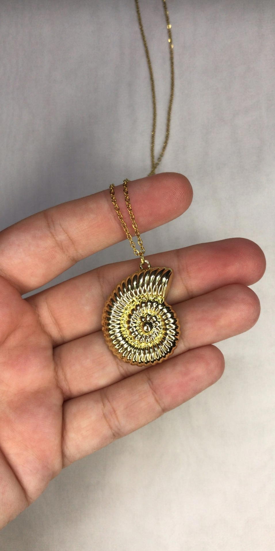 shell necklace  Preview Image