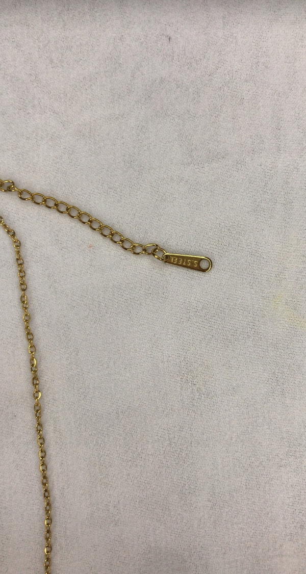 shell necklace  Image 3 Preview