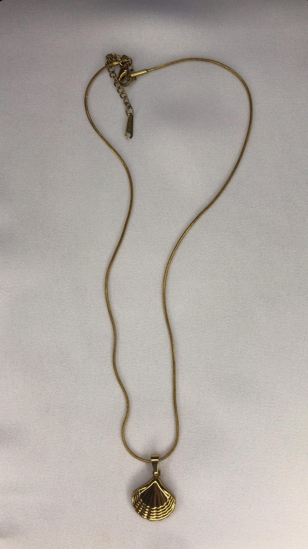 shell stainless necklace  Preview Image
