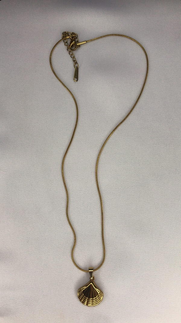 shell stainless necklace  Image 1 Preview