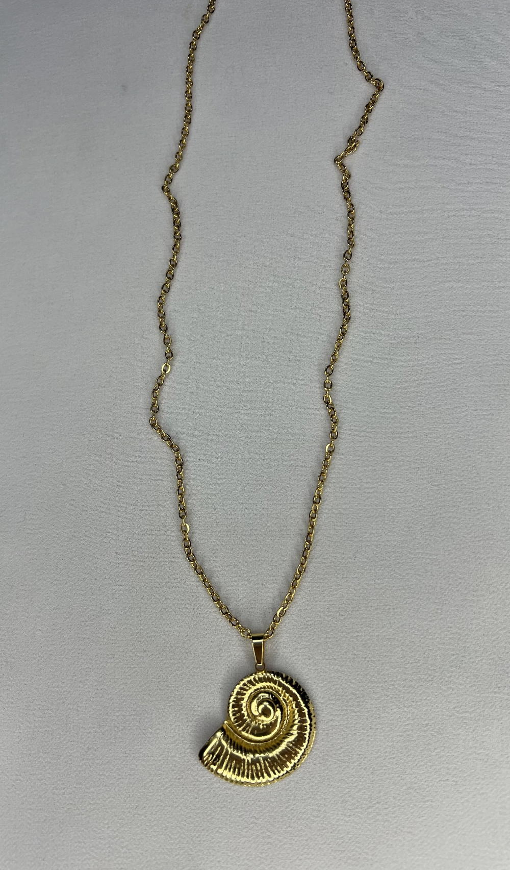 shell necklace  Preview Image